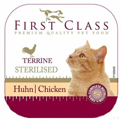 Terrine 100gr First Class από το Plus4u